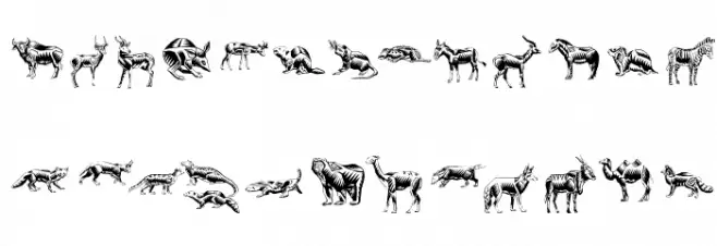 ZigzagZooAnimal Schriftart Groß