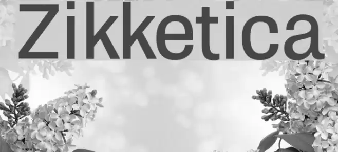 Zikketica Font examples