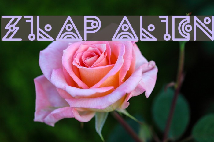Zilap Alien Font examples