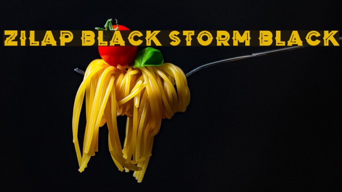 Zilap Black Storm Black Font examples