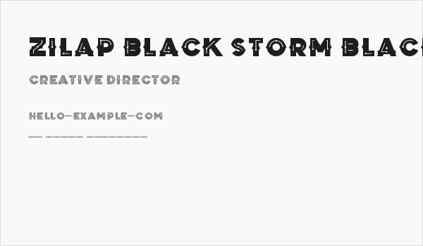 Zilap Black Storm Black Business Card