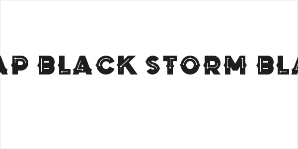Zilap Black Storm Black Logo