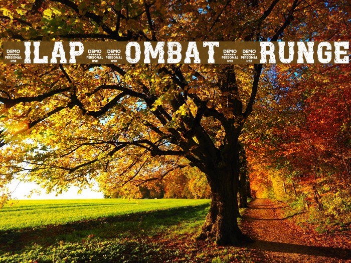 Zilap Combat Grunge Font examples