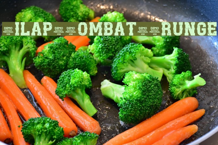 Zilap Combat Grunge Font examples