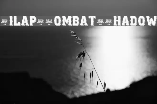 Zilap Combat Shadow Font examples