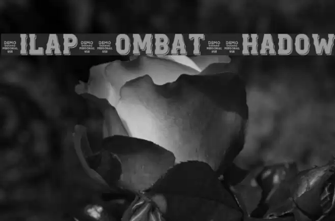 Zilap Combat Shadow Font examples