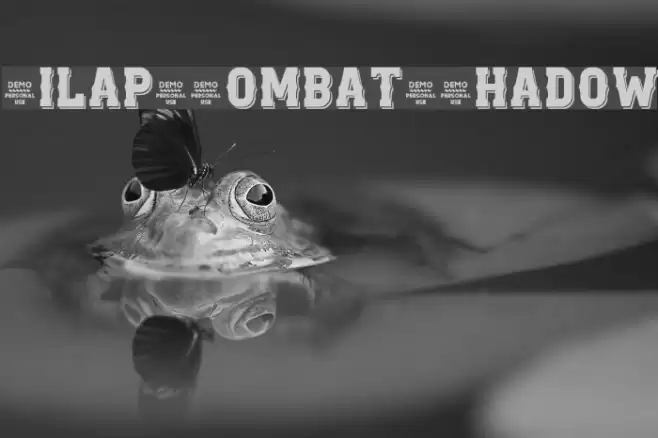 Zilap Combat Shadow Font examples