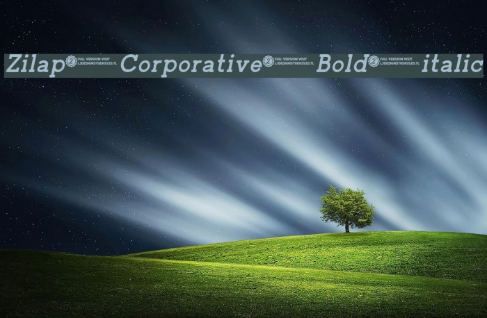 Zilap Corporative Bold italic Font examples