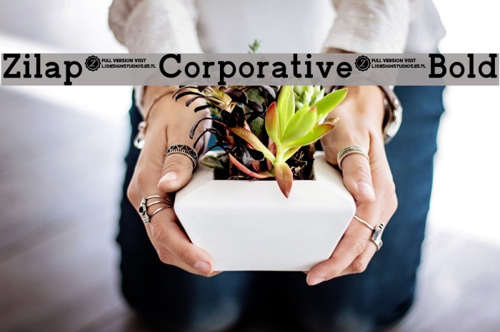 Zilap Corporative Bold Example 1