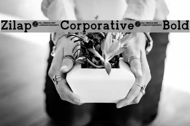 Zilap Corporative Bold Font examples