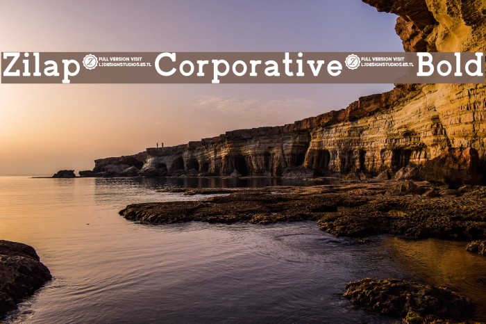 Zilap Corporative Bold Example 2