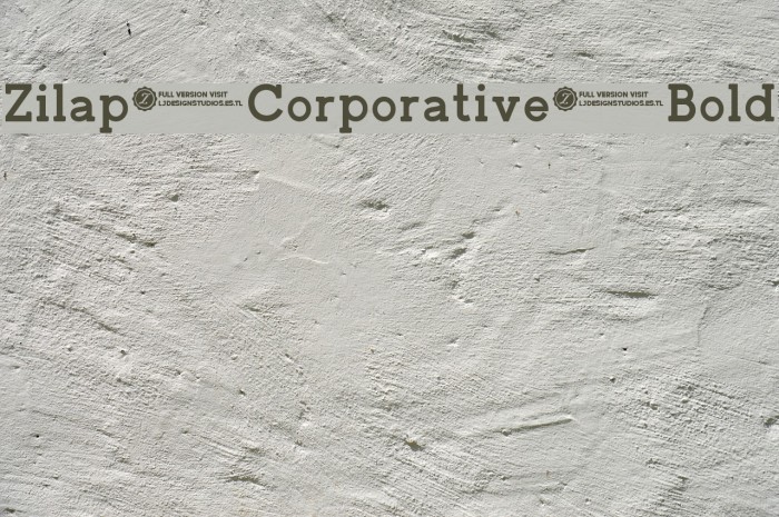Zilap Corporative Bold Example 3