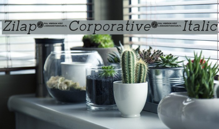 Zilap Corporative Italic Font examples