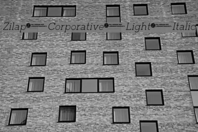 Zilap Corporative Light Italic Font examples