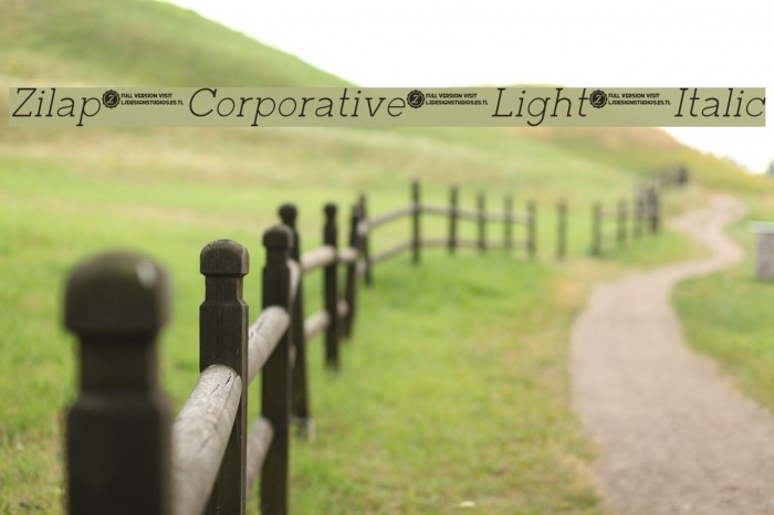 Zilap Corporative Light Italic Example 3