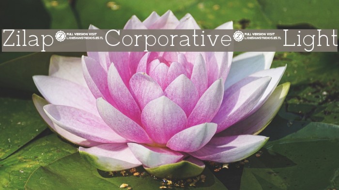 Zilap Corporative Light Font examples