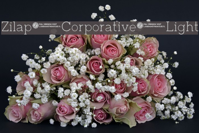 Zilap Corporative Light Font examples