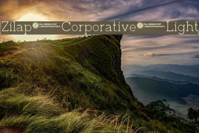 Zilap Corporative Light Font examples