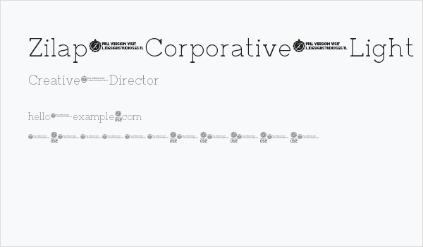 Zilap Corporative Light Business Card