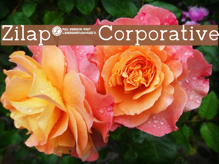 Zilap Corporative Font examples