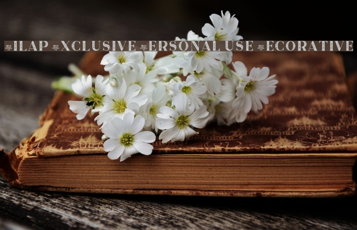 Zilap Exclusive Personal use Decorative Font examples