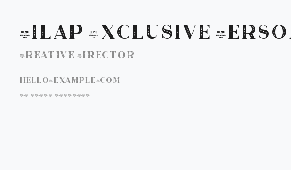 Zilap Exclusive Personal use Decorative Business Card