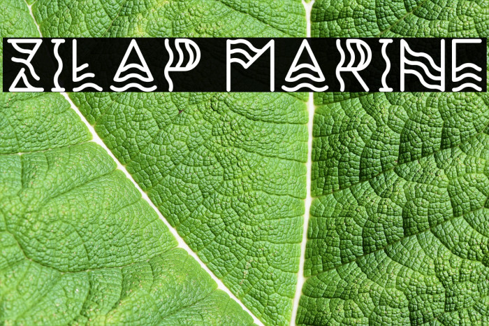 Zilap Marine Example 1