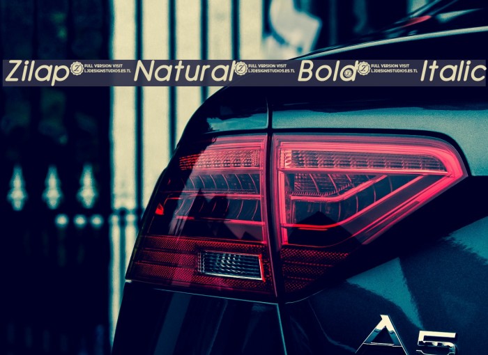 Zilap Natural Bold Italic Font examples