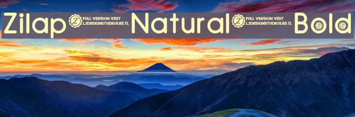 Zilap Natural Bold Font examples