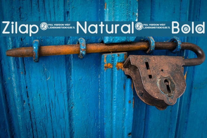 Zilap Natural Bold Font examples