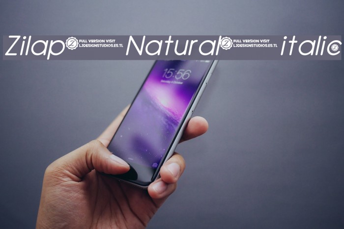 Zilap Natural italic Font examples