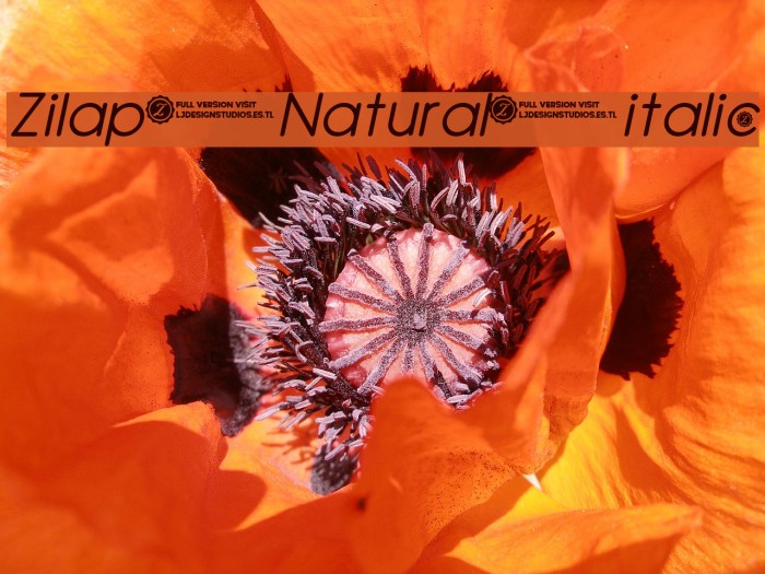 Zilap Natural italic Font examples