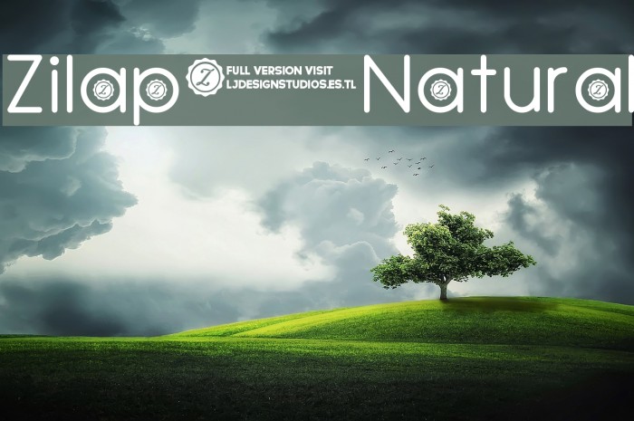 Zilap Natural Font examples