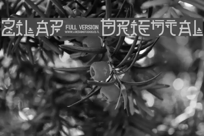 Zilap Oriental Font examples