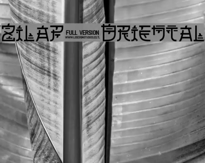 Zilap Oriental Font examples