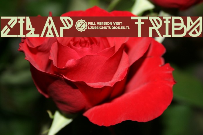 Zilap Tribu Font examples