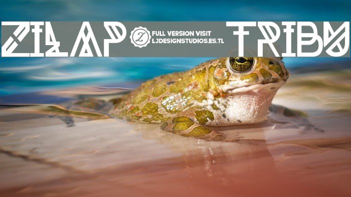 Zilap Tribu Font examples