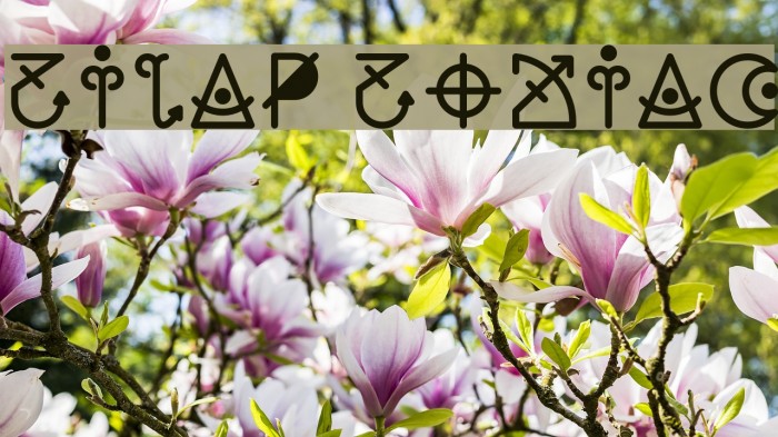 Zilap Zodiac Font examples