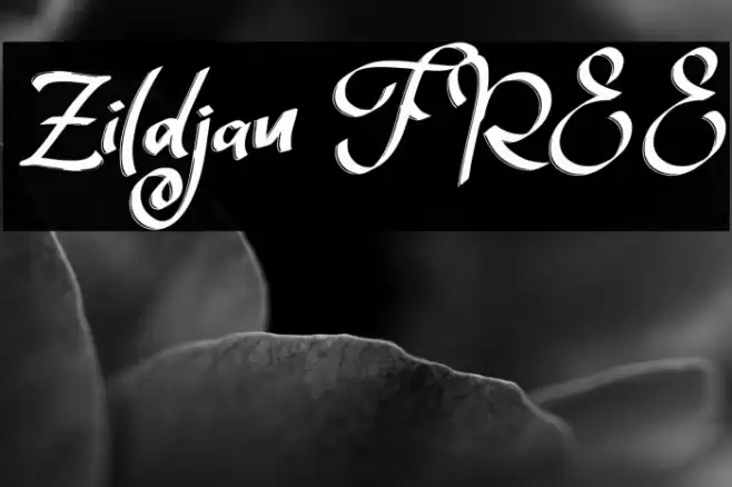 Zildjan FREE Font examples