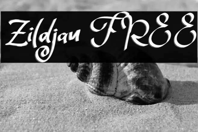 Zildjan FREE Font examples