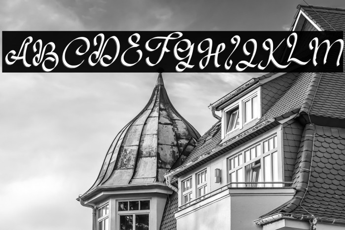 ZildjanFREE Example 1