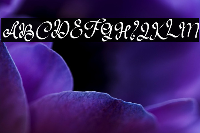 ZildjanFREE Example 3