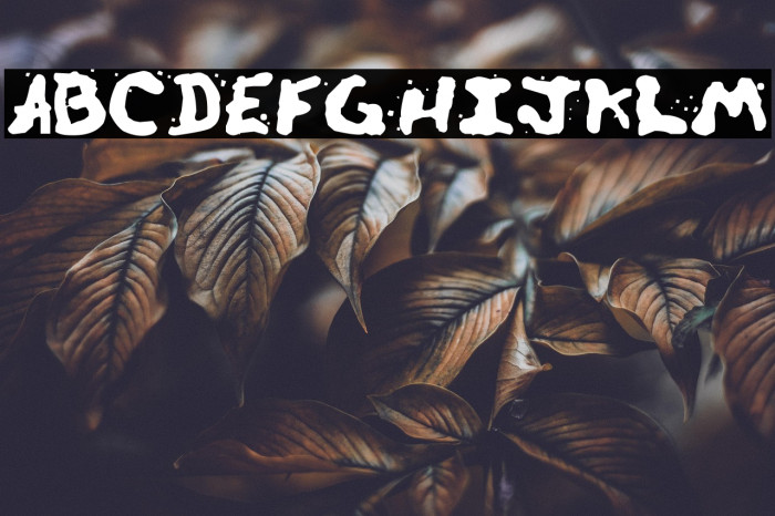 Zill Spills Example 1