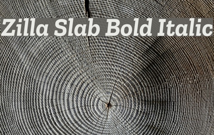 Zilla Slab Bold Italic Font examples
