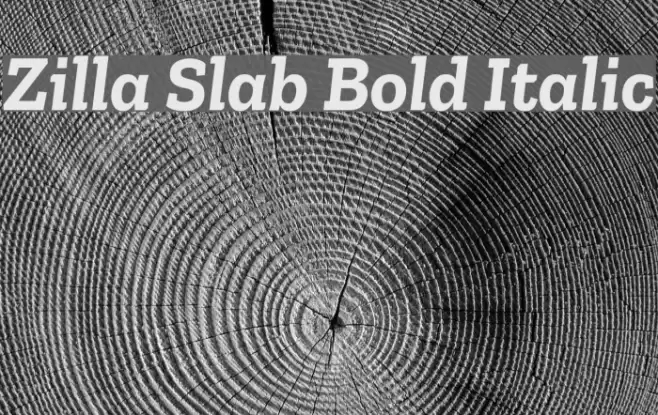 Zilla Slab Bold Italic Font examples