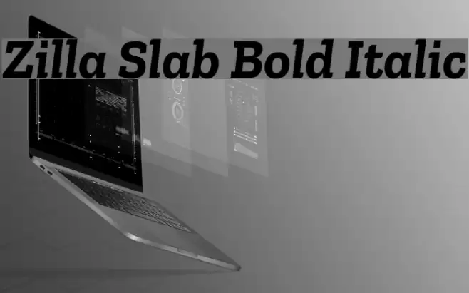 Zilla Slab Bold Italic Font examples
