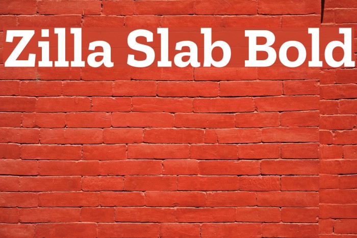 Zilla Slab Bold Font examples