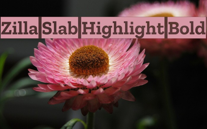 Zilla Slab Highlight Bold Font examples