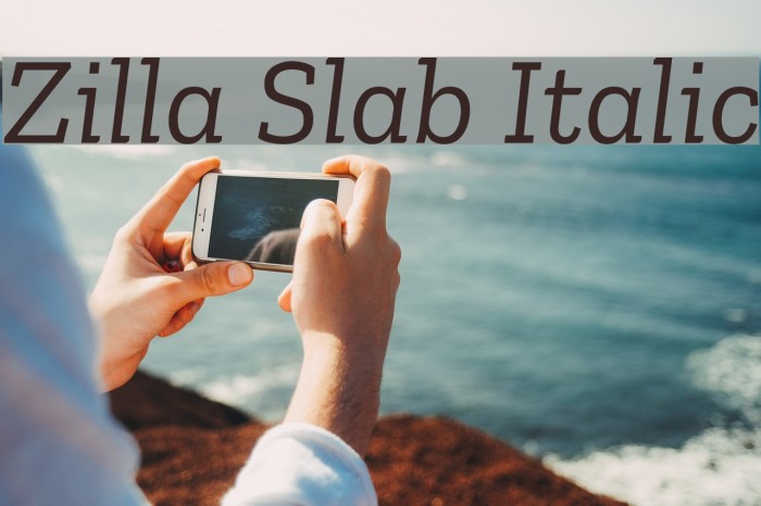 Zilla Slab Italic Font examples