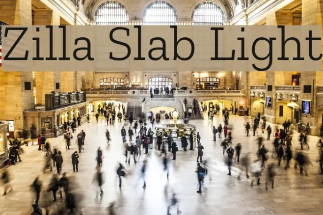 Zilla Slab Light Example 2